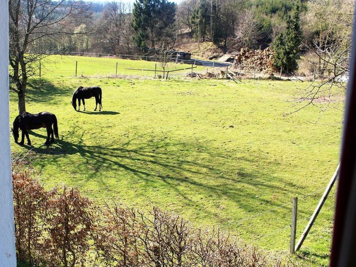 Ferienwohnung Peitz Eslohe Exteriör bild