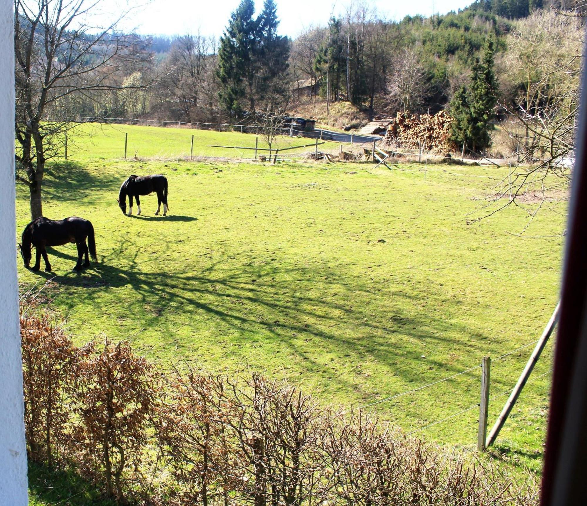 Ferienwohnung Peitz Eslohe Exteriör bild