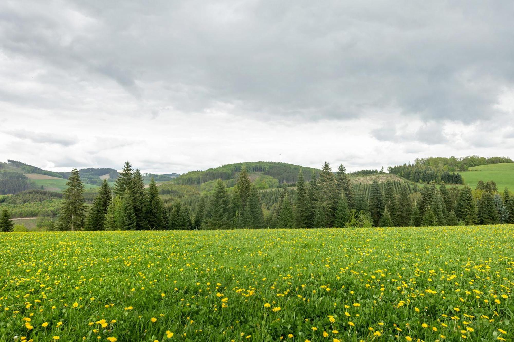Ferienwohnung Peitz Eslohe Exteriör bild